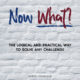 Now What? The Logical and Practical Way to Solve Any Challenge